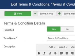 Editing the 'Terms & Conditions'