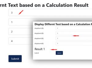The Result in Frontend