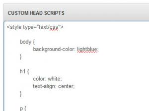 Custom Head Scripts CSS