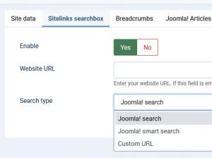 Sitelinks searchbox