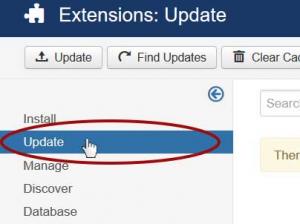 Extension Manager click on "Update"