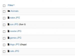 In the FIles tab you can manage your folders/files