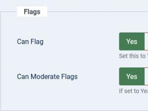 Flags permissions