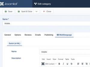 Configure Category Translations