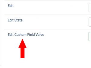 Edit custom field value
