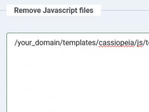 The Remove JavaScript files area
