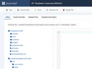 Custom CSS file