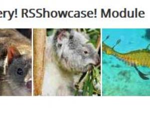 RSShowcase! module