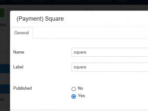 The Square payment field