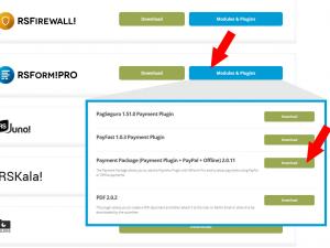 RSForm!Pro Payment Plugin