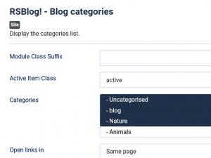 Blog Categories module