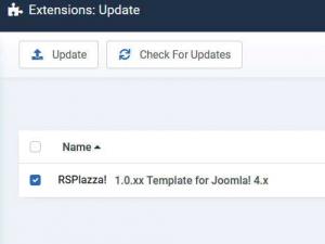 Go to System > Update > Extensions > Update RSPlazza! Template