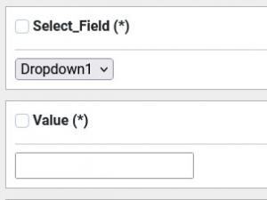 First form fields