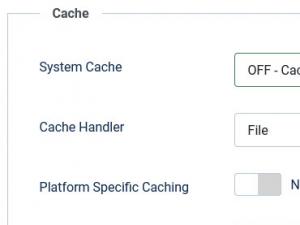 Setting the Cache to Off will allow your forms to load properly