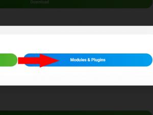 Click on the Modules & Plugins button