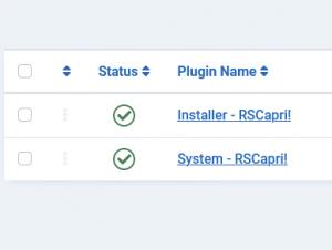 Go to RSCapri! Installer Plugin