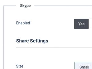 Skype settings