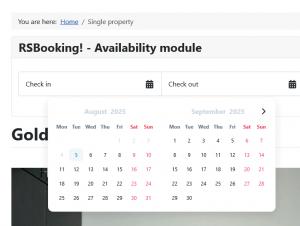 Frontend view