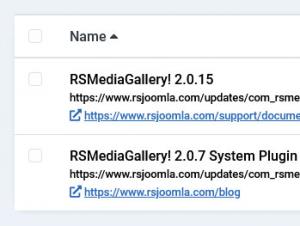 Tick the checkbox next to RSMediaGallery! and then on the Update button in the toolbar.