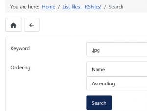 File search functionality