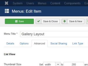 Gallery Layout menu item advanced configuration tab
