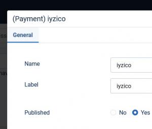 Iyzico payment field