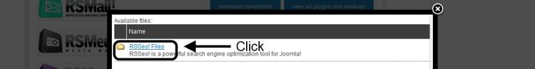 Click RSSeo! Files