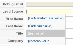 Salesforce RSForm!Pro integration fields