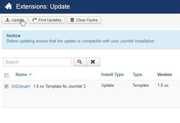 Select RSDinah! 1.0.xx Template for Joomla! 3 and Update