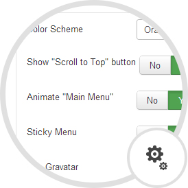 Theme Options