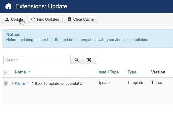 Select RSJuno! 1.0.xx Template for Joomla! 3 and Update