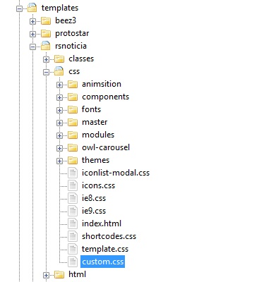RSNoticia! - How to create custom css