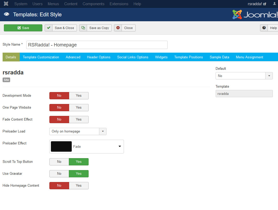 RSRadda! Joomla! 3.x template Details Tab preview