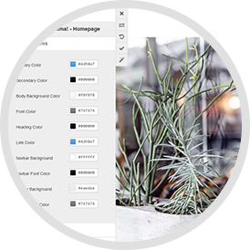 Frontend Customizer