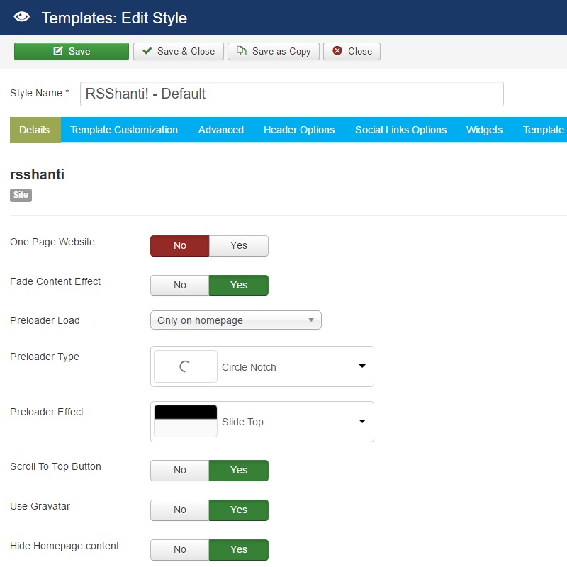 RSShanti! Joomla! 3.x template Details Tab preview