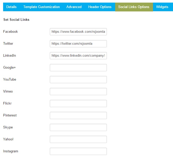 RSVario! Joomla! 3.x template Social Links Options Tab preview